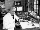 Alexander Fleming's penicillin mould nets $14K at auction | CBC News