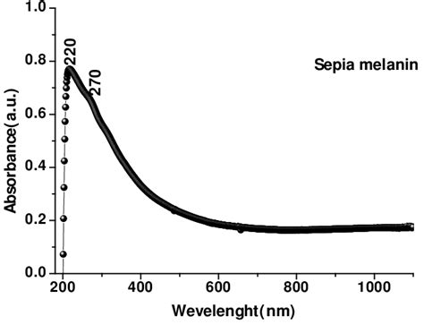 Uv Vis Spectra Of Sepia Melanin The Uv Vis Wavelength Scan Showed The