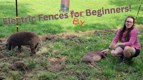 Electric Pig Fencing For Beginners By Beginners Youtube