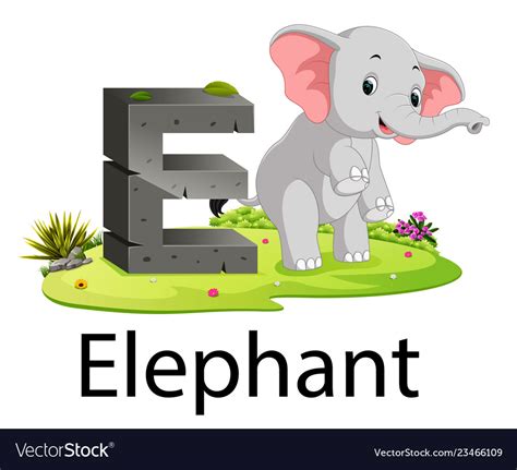Zoo Animal Alphabet E For Elephant Royalty Free Vector Image