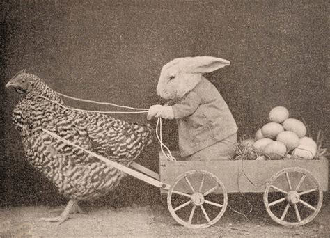 The Perversion Of The Easter Bunny 1907 To Today