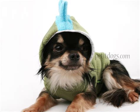Dog Costume Dinosaur Spikes Green Fleece Cute Hoodie Etsy
