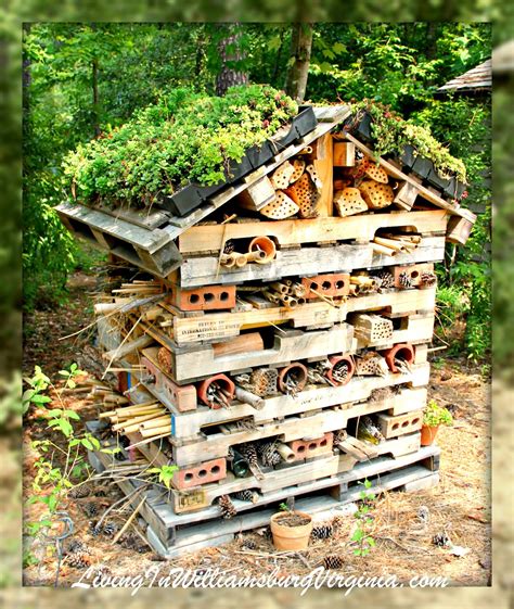 Living In Williamsburg Virginia Pollinator Palace Williamsburg