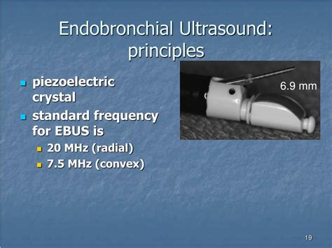Ppt Endobronchial Ultrasound Guided Transbronchial Needle Aspiration