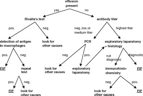 Pdf Feline Infectious Peritonitis Semantic Scholar