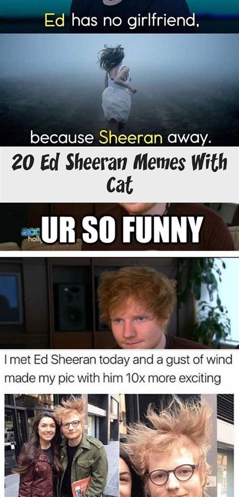 No hate, we are big fans of ed. 20 Ed Sheeran Memes With Cat | Ed sheeran memes, Memes, Ed sheeran