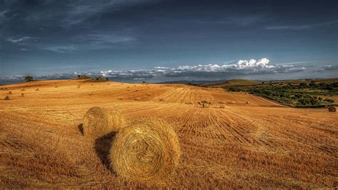 Hayfield Photograph By Mountain Dreams Pixels