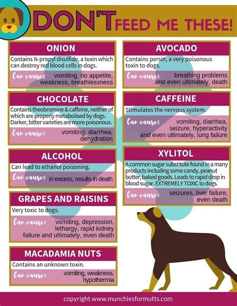 Moderation is key, experts tell webmd. You love your dog, but are you aware of the many things ...