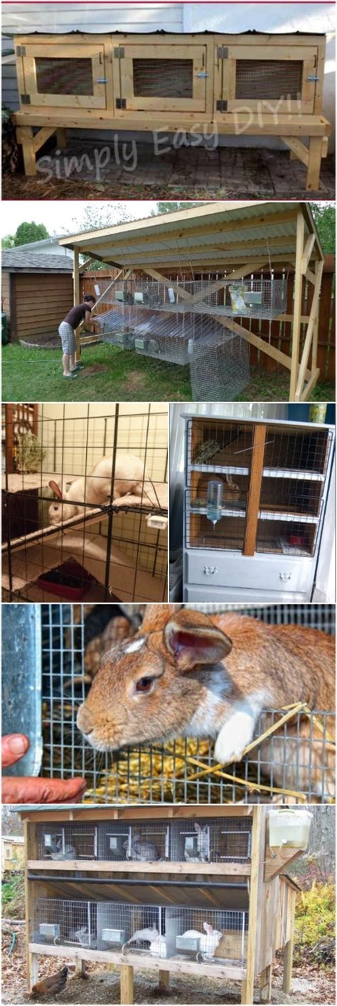 This diy rabbit hutch includes build plans. 10 Free DIY Rabbit Hutch Plans That Make Raising Bunnies ...