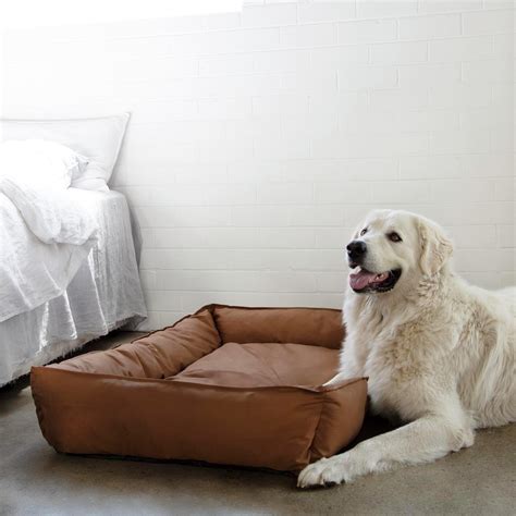 Happy Tails 120 X 80cm Xl Dark Brown Adventure Dog Bed Bunnings Australia