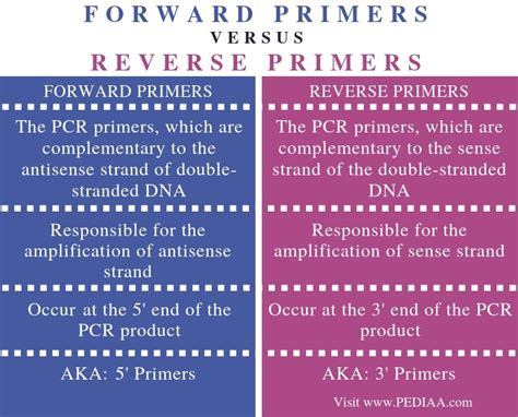 What Is The Difference Between Forward And Reverse Primers Pediaacom