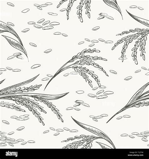 Rice Drawing Pattern Rice Graphic Seamless Texture Cereals Ears And