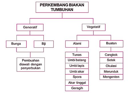 Peta Konsep Perkembangbiakan Tumbuhan Rpal Bank Home Com Sexiz Pix