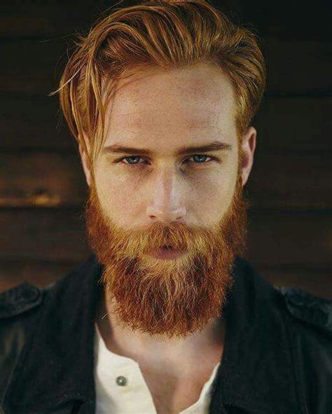 red beard hair and beard styles redhead men ginger beard