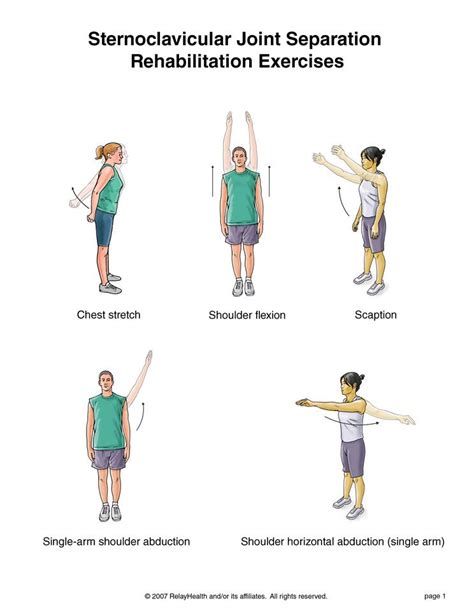 Rehabilitation Exercises Exercise Physical Therapy School