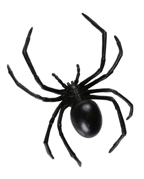 Black Widow Spider A Creepy Horror Spider For Your Halloween