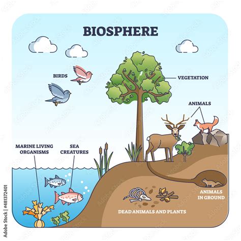 Biosphere And Natural Habitat Division For Living Creatures Outline