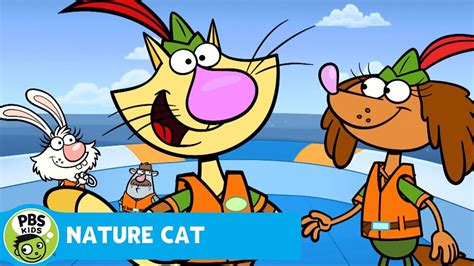 Nature Cat The Motion Of The Ocean Pbs Kids Youtube