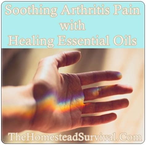 Soothing Arthritis Pain With Healing Essential Oils The Homestead