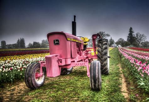 The Pink Tractor At One Of Oregons Most Gorgeous Tulip Farms Pink
