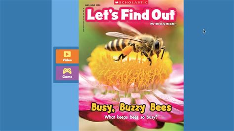 Scholastic Busy Buzzy Bees Youtube