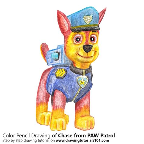 Chase From Paw Patrol Colored Pencils Drawing Chase From Paw Patrol