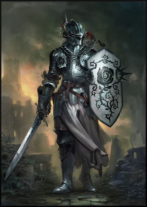 M Paladin Plate Armor Helm Shield Sword Dandd Paladin Male Fantasy