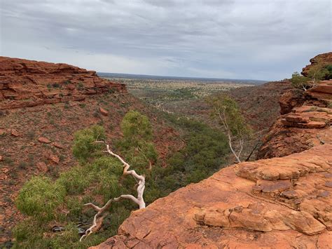 Adventurers Guide To Kings Canyon Luke Mead 4x4