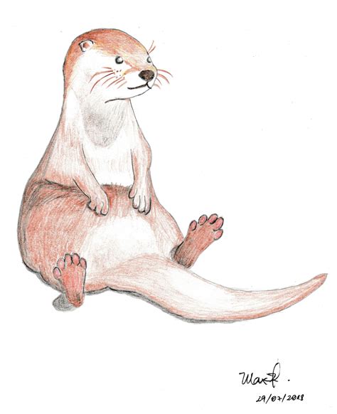 River Otter Drawing Easy Howto Draw
