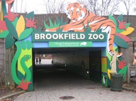 Brookfield Zoos Schedules August December Events Western Springs Il