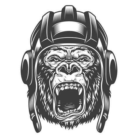Gorilla Scream Illustrations Illustrations Royalty Free Vector