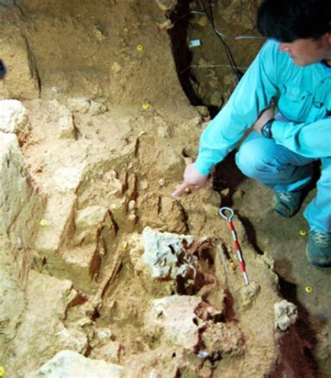 9000 Year Old Human Remains May Shed Light On Prehistoric Okinawa
