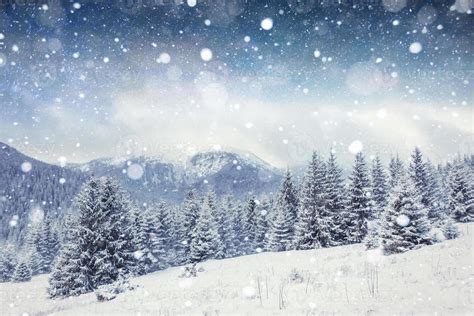 Starry Sky In Winter Snowy Night Carpathians Ukraine Europe 6467172