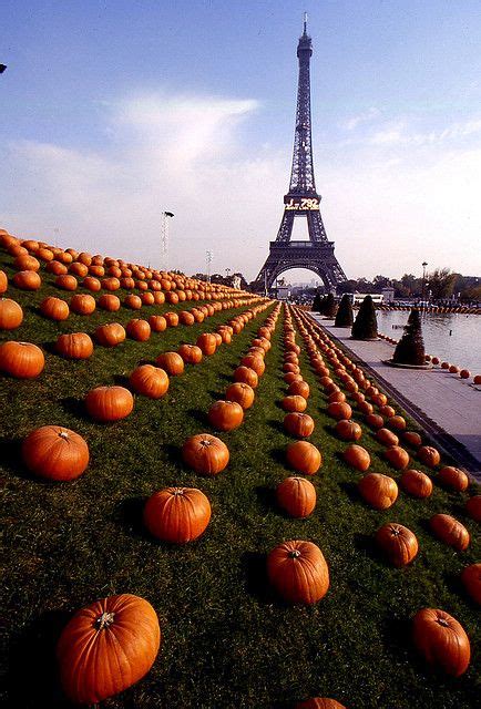 The Eiffel Tower Is In The Background With Pumpkins On The Ground Near It