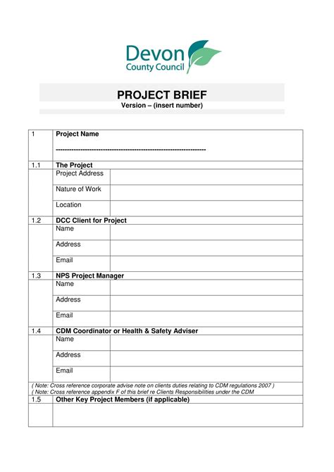 Project Brief 15 Examples Format Pdf Examples