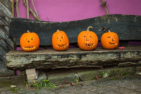 pumpkin halloween fall free photo on pixabay pixabay