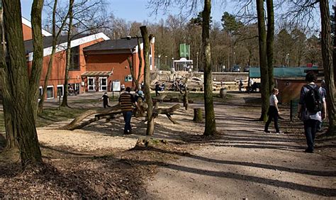 Von unseren 5m hohen baumhäusern kann man wölfe in ihren gehegen erleben. Wolfcenter Dörverden bei Verden an der Aller