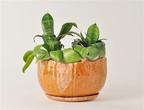 Rustic Large Orange Ceramic Planter Pot With Drainage And Etsy