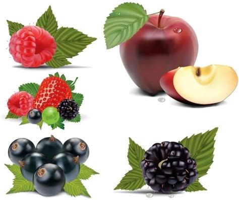 Fruits Vector Vectors Graphic Art Designs In Editable Ai Eps Svg