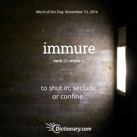 Todays Word Of The Day Is Immure Learn Its Definition