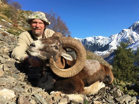4 Day European Mouflon Hunt For 1 Hunter In France Wsf World