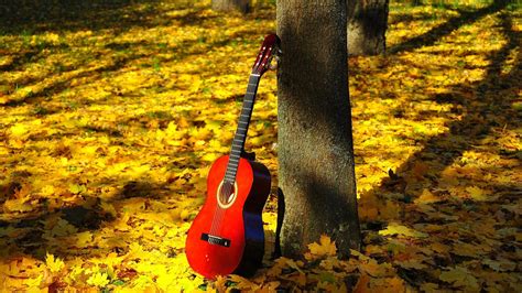 🥇 Nature Music Trees Leaves Classic Guitars Wallpaper 122737