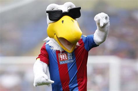 Ranking Every Premier League Mascot By How Hard It Looks Soccerbible