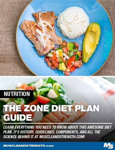 Learn Everything You Need To Know Before Starting The Zone Diet Plan