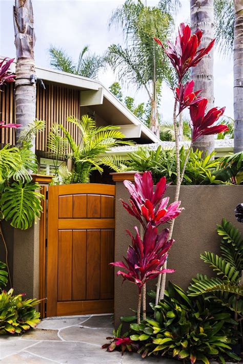 Aloha In The Oc A Custom Gate And Tropical Plants Makes The Perfect