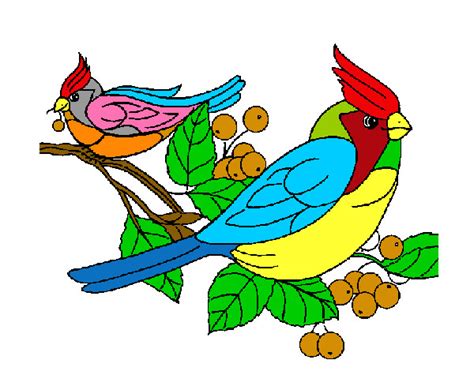 Dibujo De Pájaros Pintado Por Mastinalfa En El Día 27 06 13