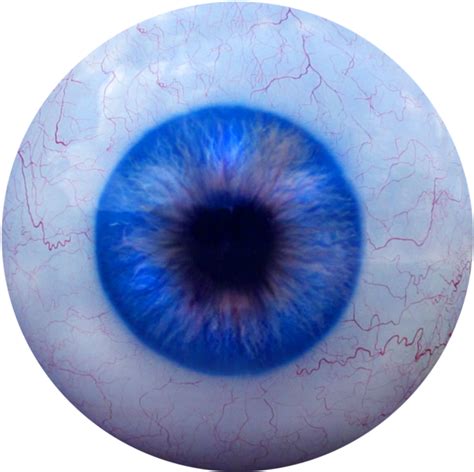 Scary Eye Png - Transparent Creepy Eyeball Png Clipart - Large Size Png png image
