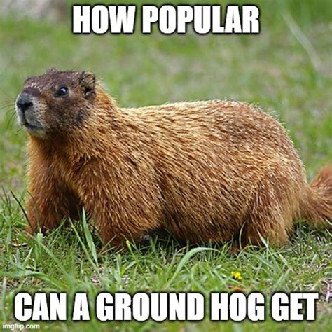 Groundhog Imgflip