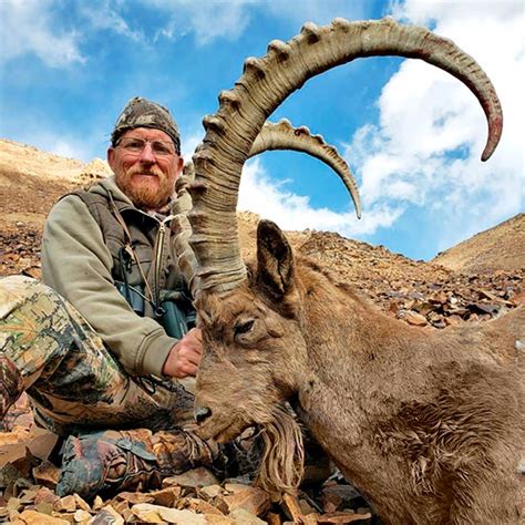 Mid Asian Ibex Hunting In Kyrgyzstan Profihunt Profihunt