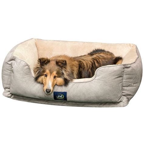 This bed measures 27 by 22 by 3.5 inches; Serta Ortho Cuddler Pet Bed large Grey Comfortable